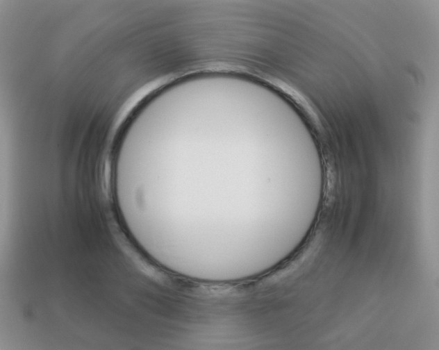 X0000114230886200910091326