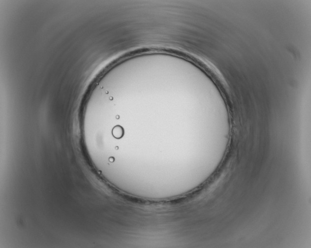 X0000114230887200910091326