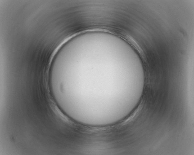 X0000114230892200910091326