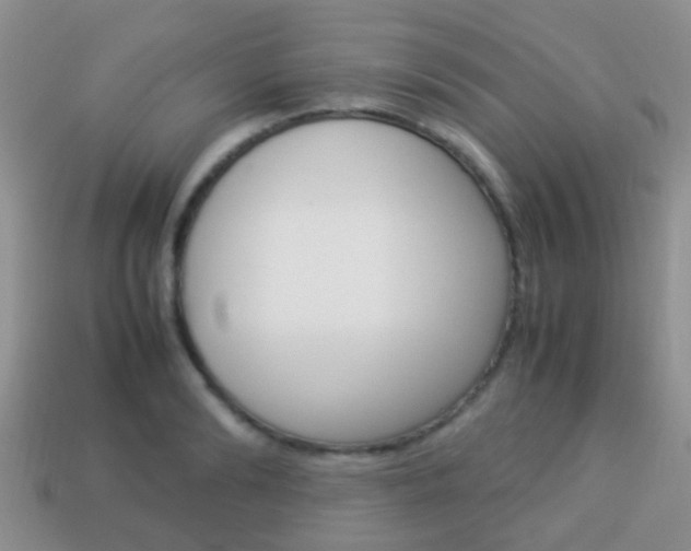 X0000114230894200910091326