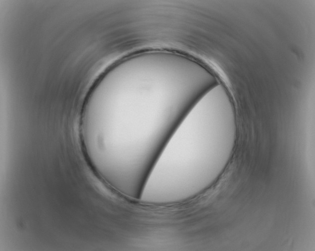 X0000114230895200910091326