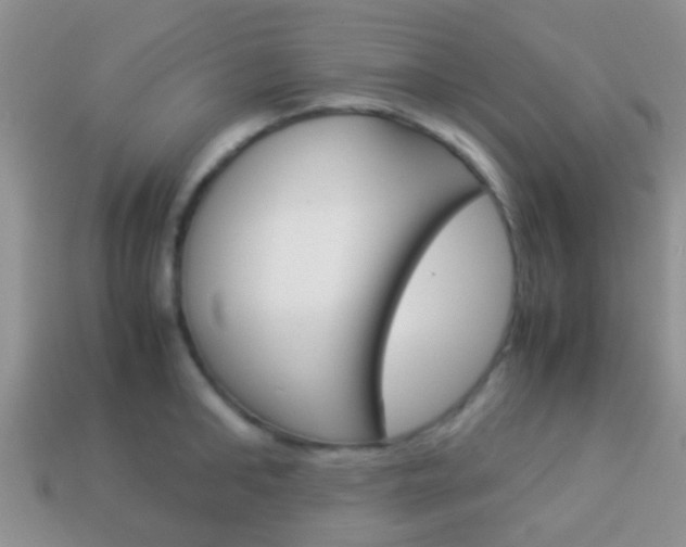 X0000114230902200910091325