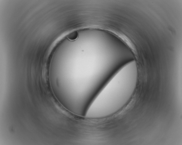 X0000114230904200910091325
