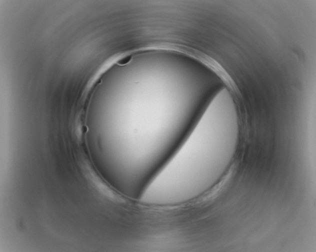 X0000114230908200910091325