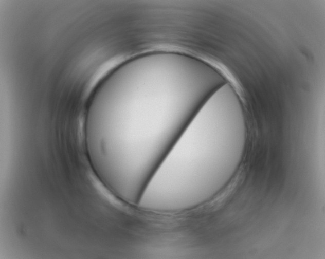 X0000114230910200910091325