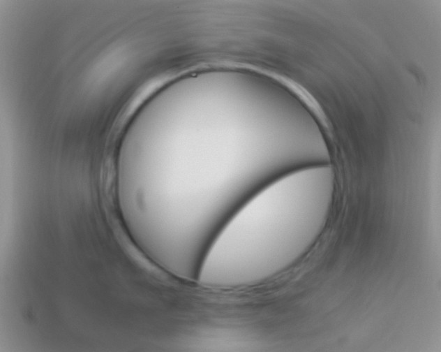 X0000114230911200910091325