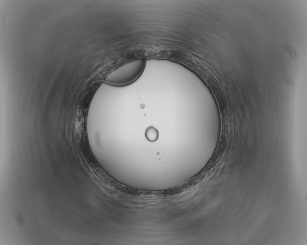 X0000114230914200910091325
