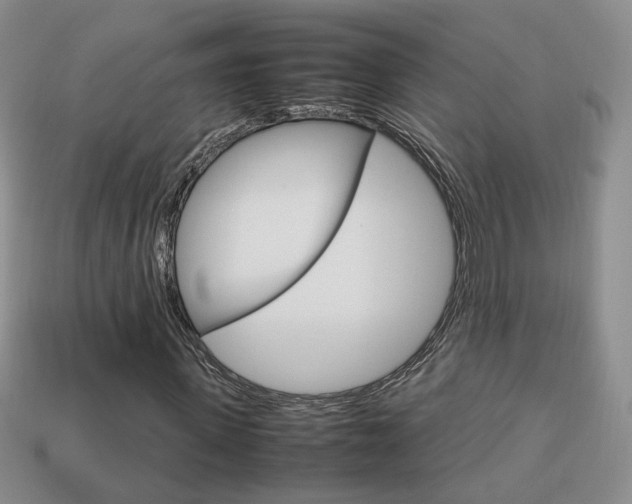 X0000114230915200910091325