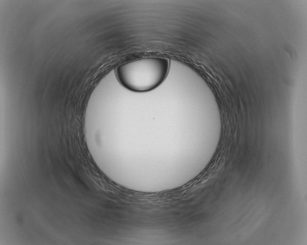X0000114230916200910091325