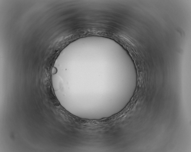 X0000114230917200910091325