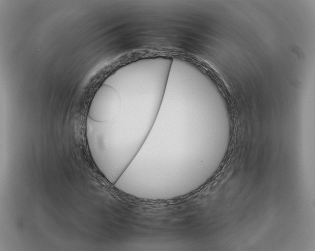 X0000114230919200910091325