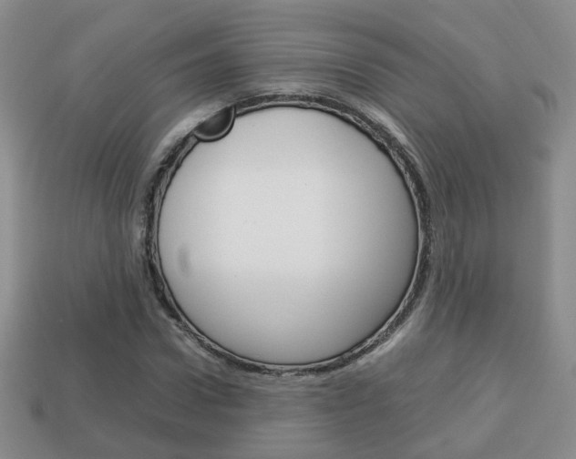 X0000114230922200910091325