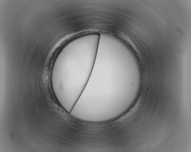 X0000114230923200910091325