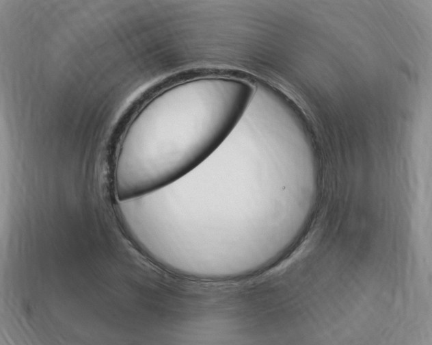 X0000114230926200910091325