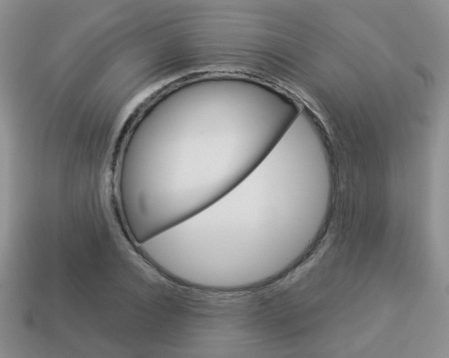X0000114230928200910091325