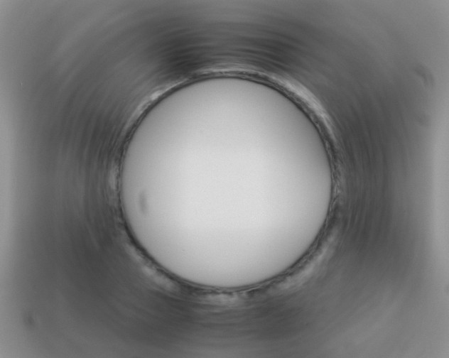 X0000114230937200910091325