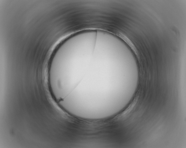 X0000114230939200910091325
