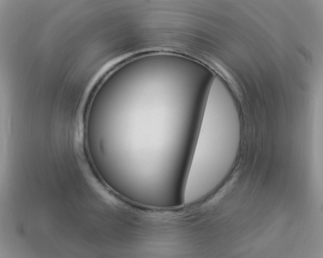 X0000114230940200910091325