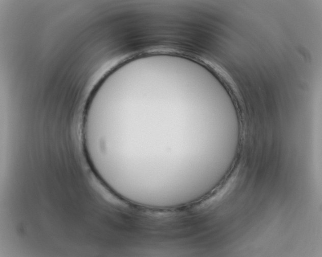 X0000114230941200910091325