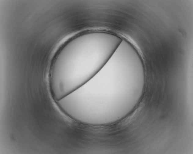 X0000114230943200910091325
