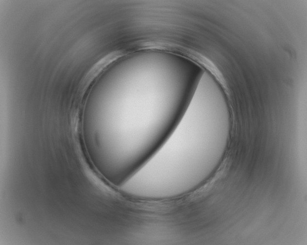 X0000114230946200910091325