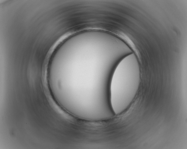X0000114230947200910091325
