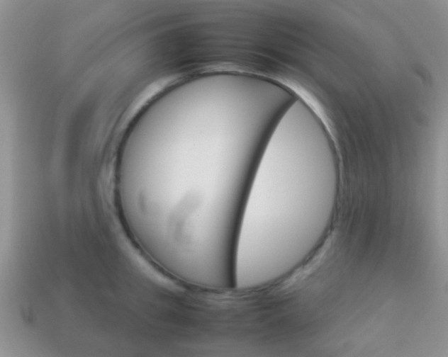 X0000114230949200910091325