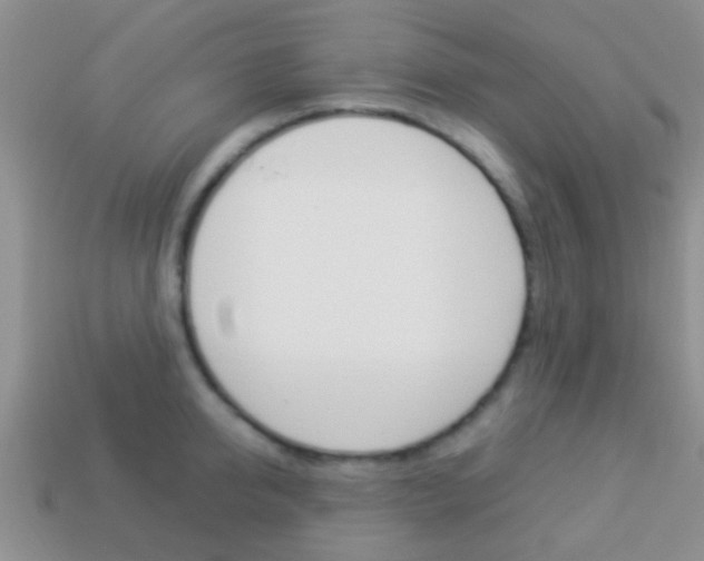 X0000114230950200910091325