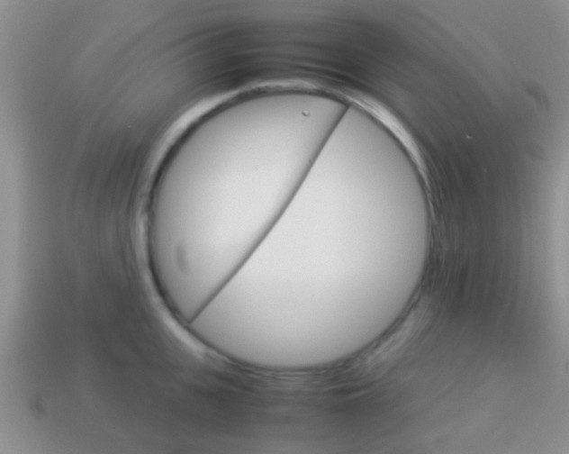 X0000114230951200910091325