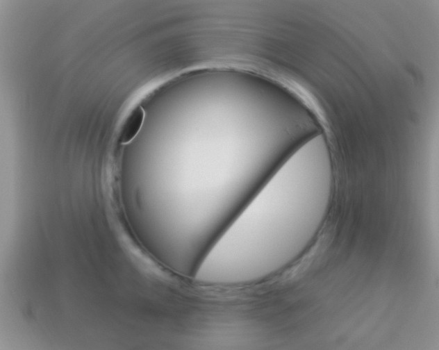 X0000114230952200910091325