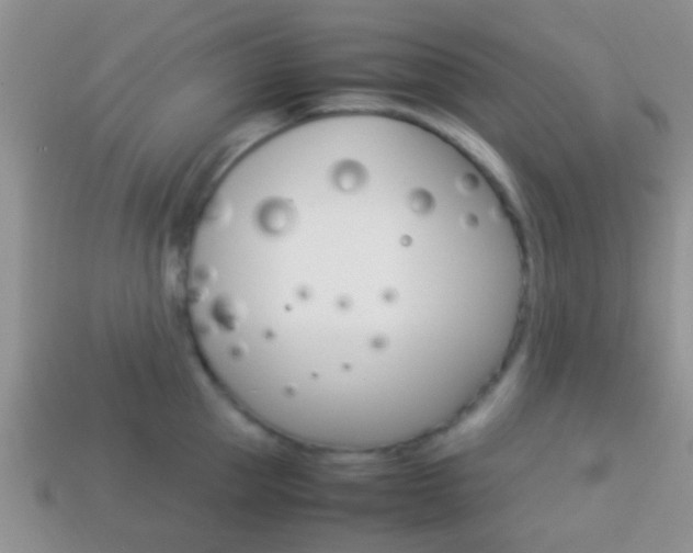 X0000114230953200910091325