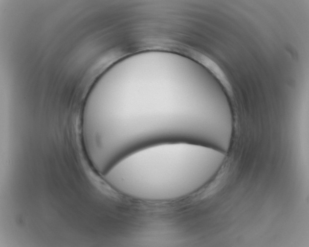 X0000114230954200910091325