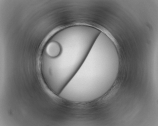 X0000114230955200910091325