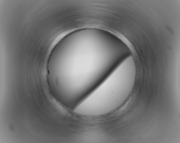 X0000114230956200910091325