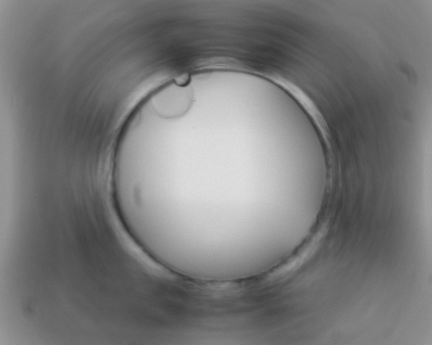 X0000114230957200910091325