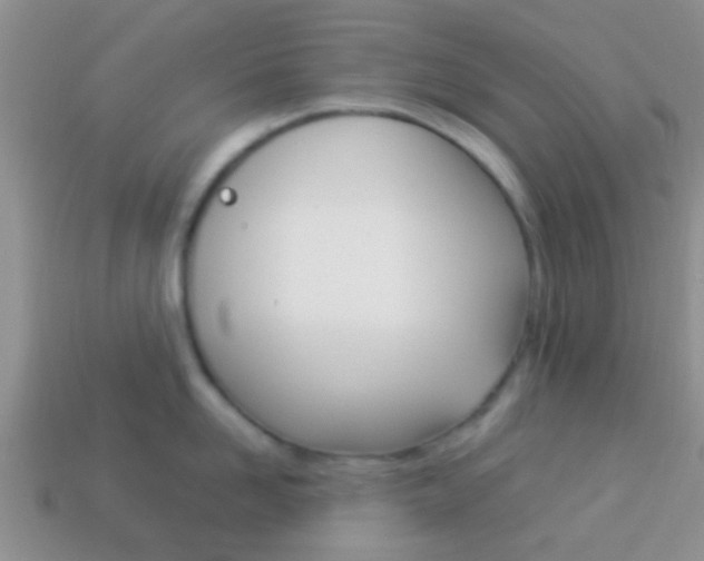 X0000114230958200910091325