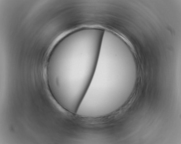 X0000114230959200910091325