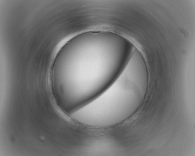 X0000114230960200910091325