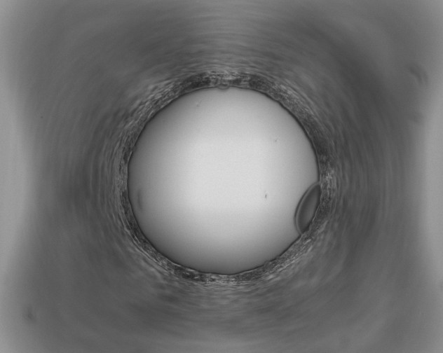 X0000114230961200910091325