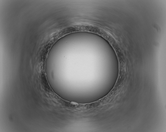X0000114230965200910091325