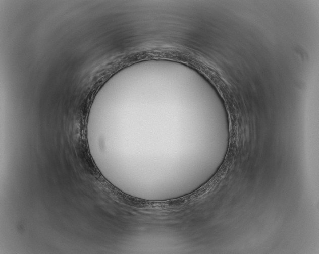 X0000114230966200910091324