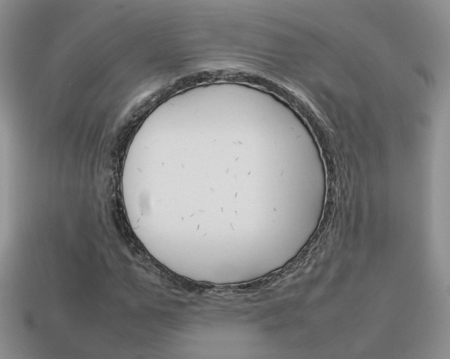X0000114230967200910091324