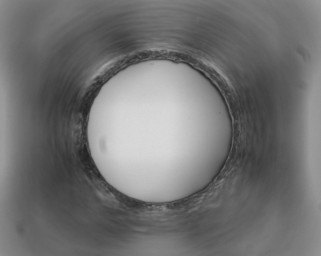 X0000114230968200910091324