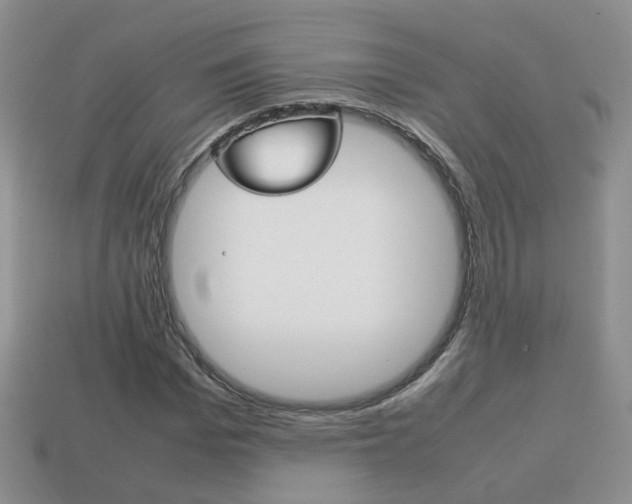 X0000114230969200910091324