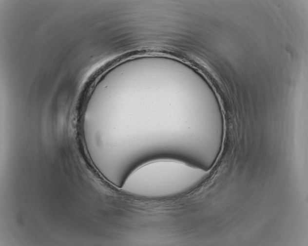 X0000114230971200910091324