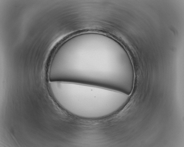 X0000114230975200910091324
