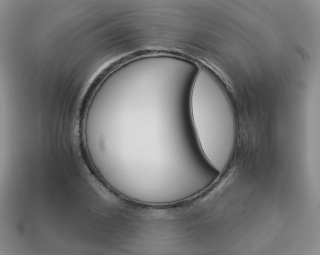 X0000114230976200910091324