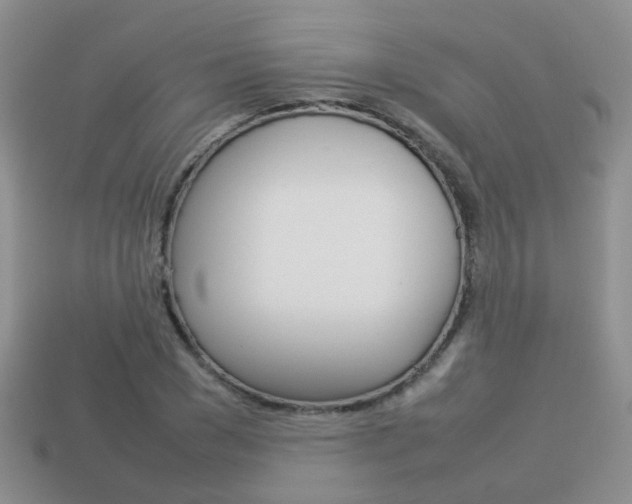 X0000114230977200910091324