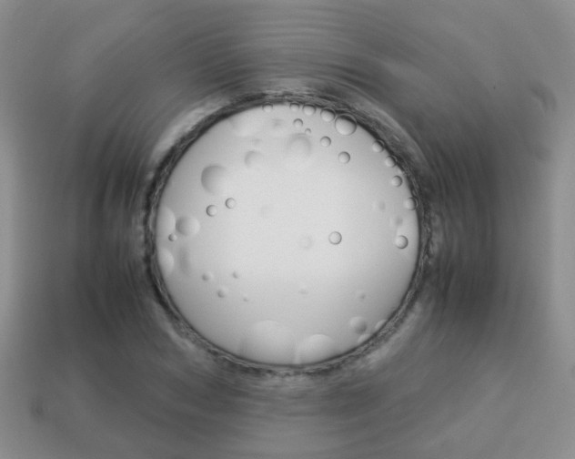 X0000114230978200910091324