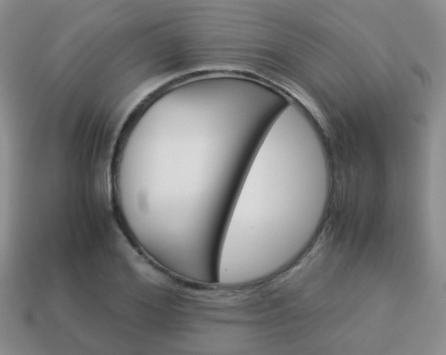 X0000114230980200910091324